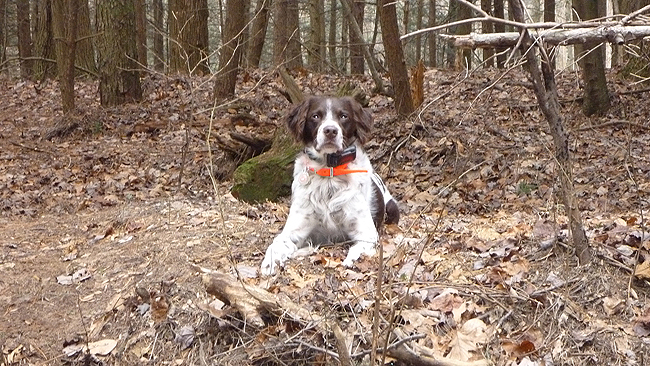Good looking buddy.jpg